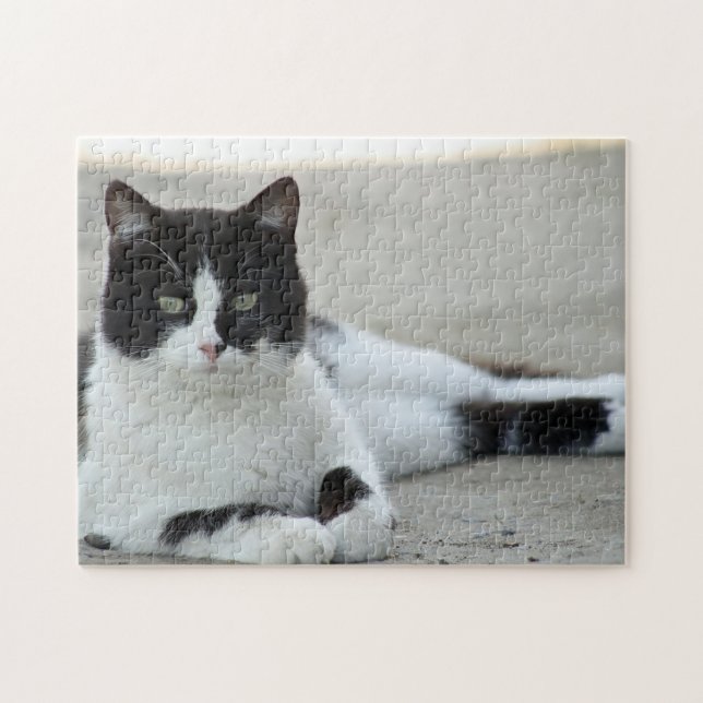 Puzzle Photo de chat noir et blanc Tuxedo (Horizontal)