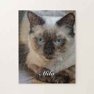 Puzzle Photo de chat Ragdoll personnalisé avec nom