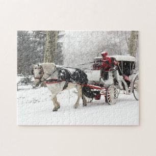 Puzzle Photo de cheval et de boguet en hiver de Central