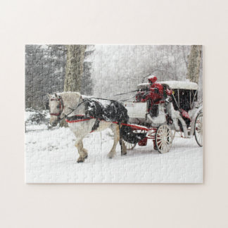 Puzzle Photo de cheval et de boguet en hiver de Central