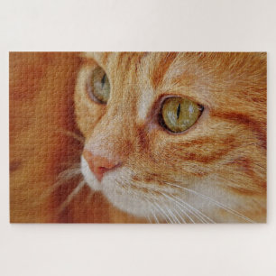 Puzzle Photo de closeup de chat