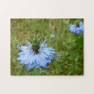 Puzzle photo de Cornflower