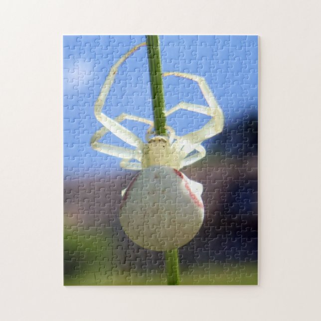 Puzzle photo de crabe blanc avec boîte cadeau (Vertical)