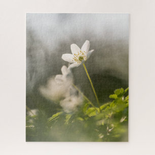 Puzzle Photo de fleur blanche dans la nature