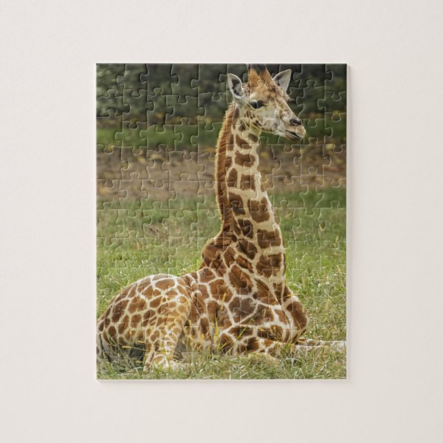 Puzzle Photo de girafe (Vertical)