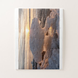 Puzzle photo de glace en forme d'ours