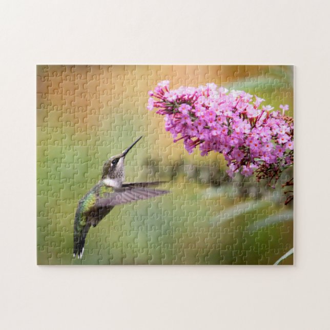 Puzzle Photo de la flore des colibris (Horizontal)