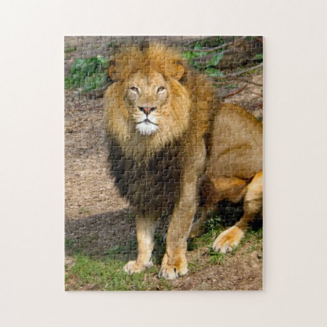 Puzzle Photo de la séance du lion africain de la faune (Vertical)