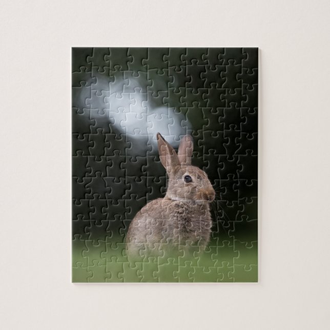 Puzzle Photo de Little Rabbit Nature (Vertical)