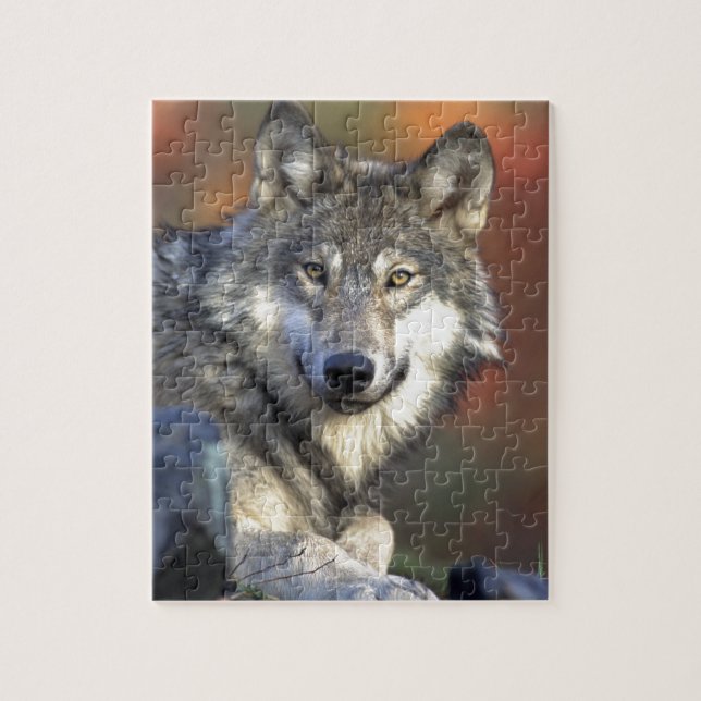 Puzzle Photo de loup (Vertical)