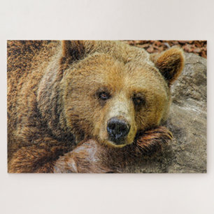 Puzzle photo de l'ours grizzli Brown