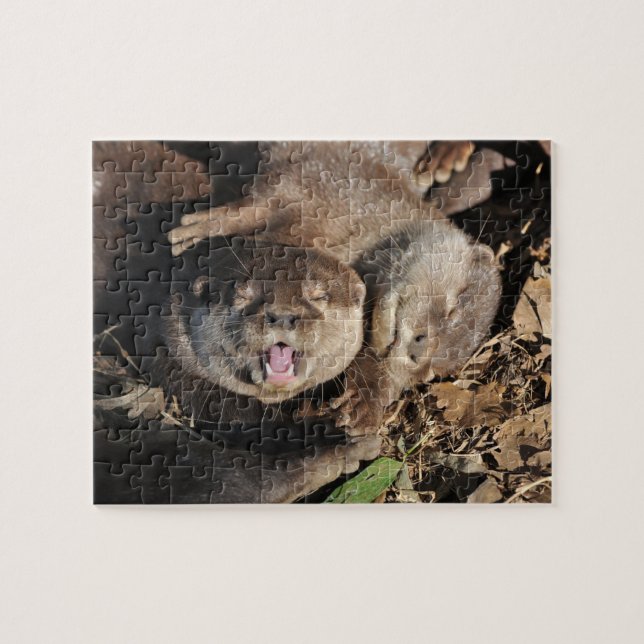 Puzzle Photo de loutre (Horizontal)