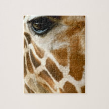 Photo de nature d'animaux sauvages de visage de