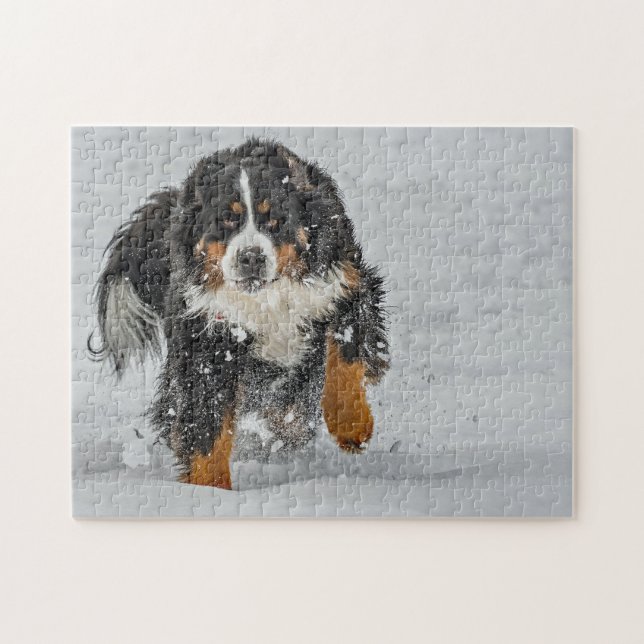 Puzzle Photo de neige du chien de montagne bernois (Horizontal)