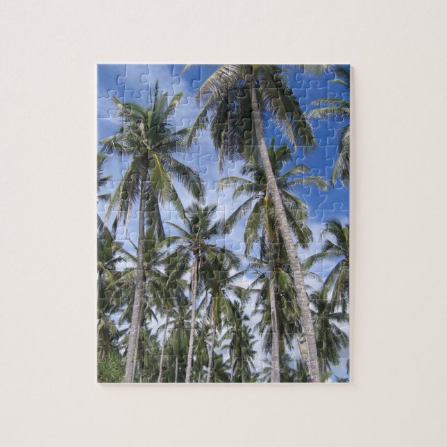 Puzzle Photo de palmiers tropicaux en verts et bleus (Vertical)