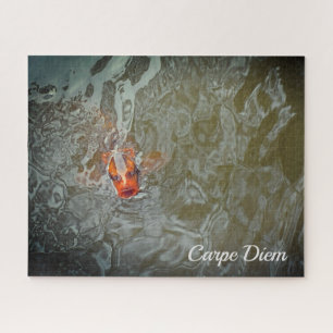 Puzzle Photo de poisson Carpe Diem Pond