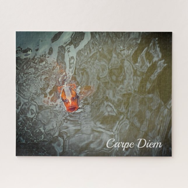 Puzzle Photo de poisson Carpe Diem Pond (Horizontal)