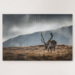 Puzzle Photo de renne dans la nature