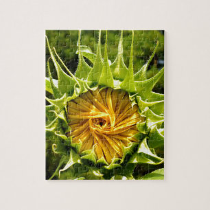 Puzzle Photo de tournesol