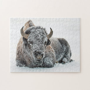 Puzzle Photo de Wildlife Buffalo Snow