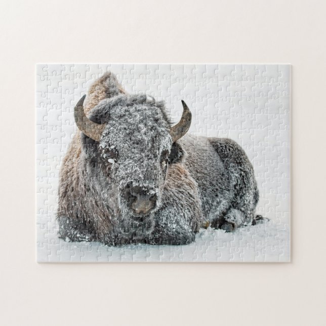 Puzzle Photo de Wildlife Buffalo Snow (Horizontal)
