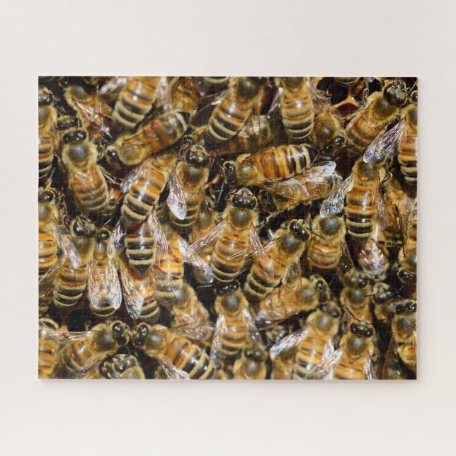 Puzzle photo des abeilles de miel (Horizontal)