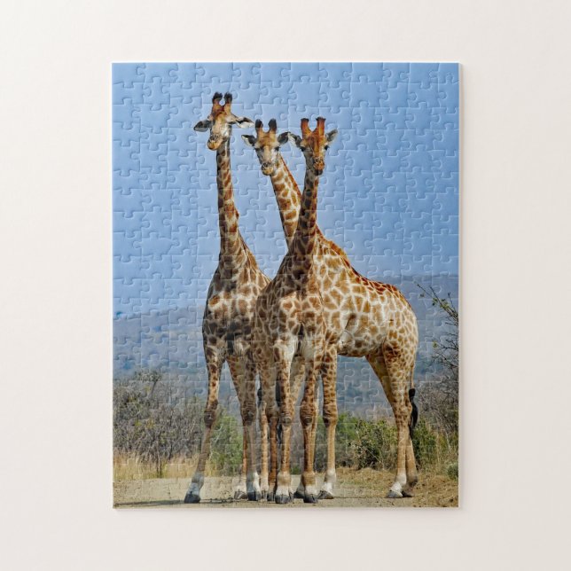 Puzzle Photo du troupeau de girafe de la faune (Vertical)