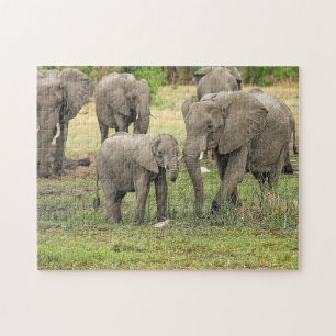 Puzzle photo du troupeau d'éléphants