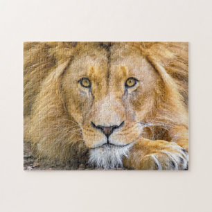 Puzzle Photo du visage du lion