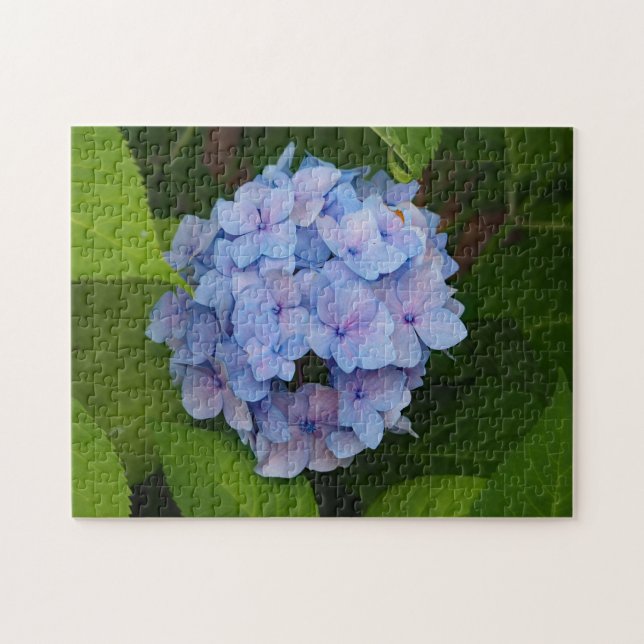 Puzzle Photo florale d'Hydrangea bleu et rose (Horizontal)