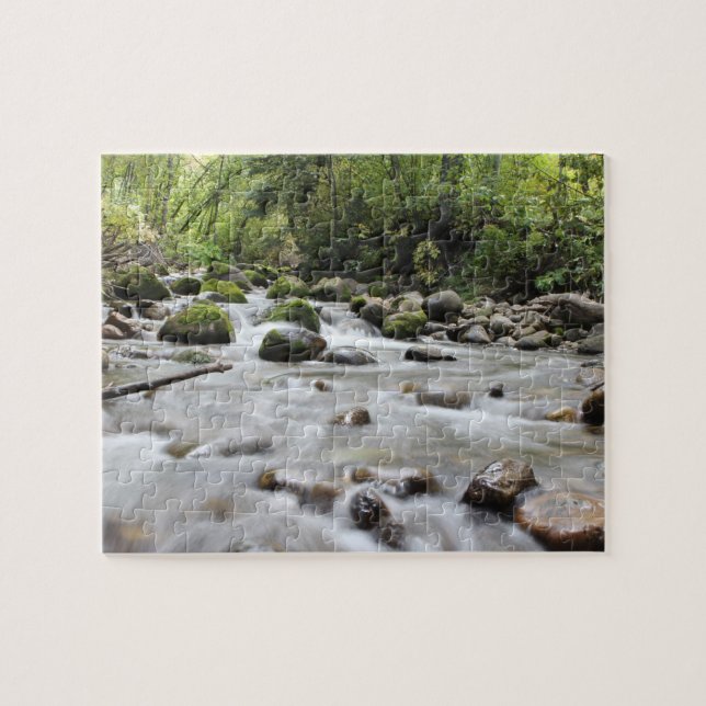 Puzzle photo Forest Stream (Horizontal)