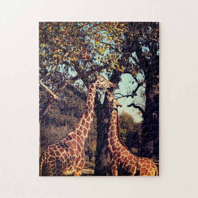 Puzzle Photo Giraffe (Vertical)