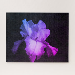 Puzzle photo Iris violet brillant