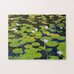 Puzzle Photo Lily Pad Pond ou votre photo