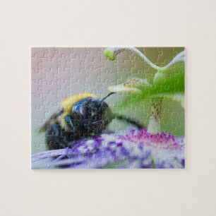 Puzzle Photo macro de Bumble Bee