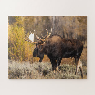 Puzzle Photo majestueux d'un orignal dans la nature