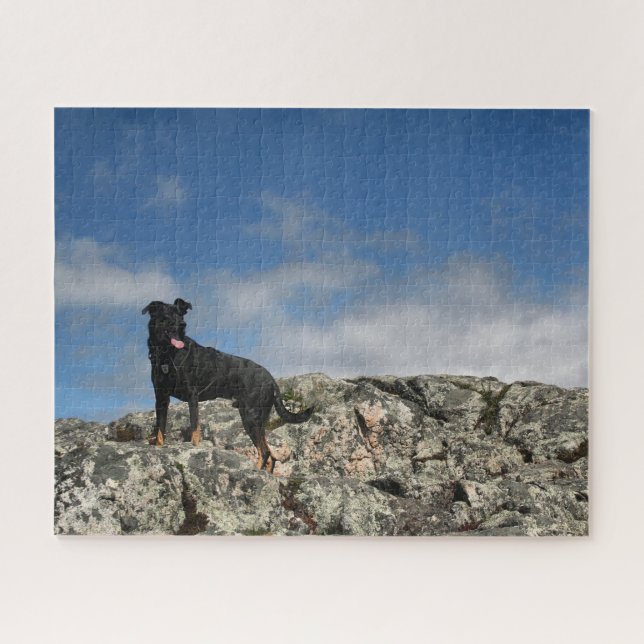 Puzzle Photo mignonne Black Dog Mutt Lab Shephered Photo (Horizontal)