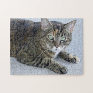 Puzzle Photo mignonne de chat tigré