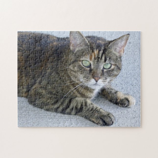 Puzzle Photo mignonne de chat tigré (Horizontal)