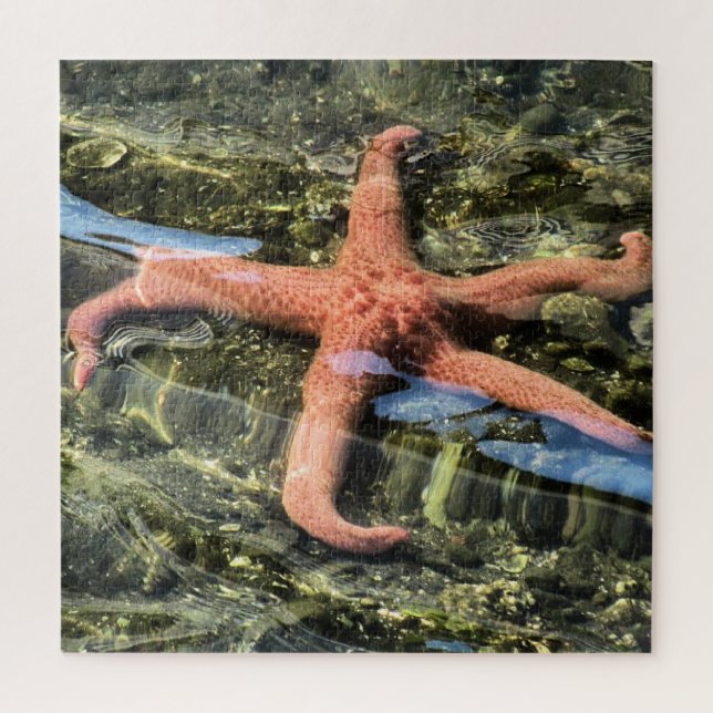 Puzzle Photo originale de l'étoile de mer sous l'eau (Vertical)