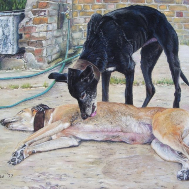 Puzzle photo pittoresque de deux chiens gris très mignons (Créateur téléchargé)