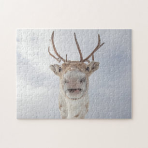 Puzzle Photo Reindeer