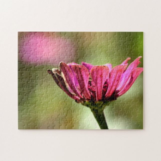 Puzzle Photo rose (Horizontal)