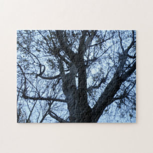 Puzzle photo Silhouette Arbre
