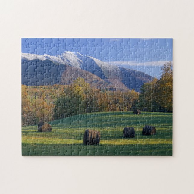 Puzzle photo Trois saisons avec boîte cadeau (Horizontal)