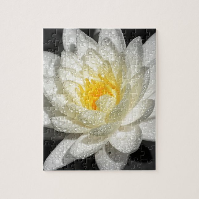 Puzzle Photo White Water Lily (Vertical)