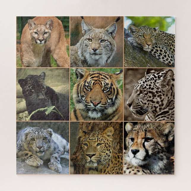 Puzzle photo Wild Cats (Horizontal)