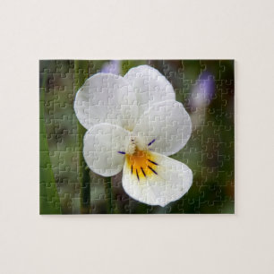 Puzzle photo Wild Pansy avec boîte cadeau
