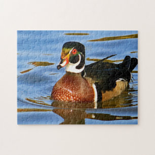 Puzzle Photo Wildlife Colorful Wood Duck Blue Water