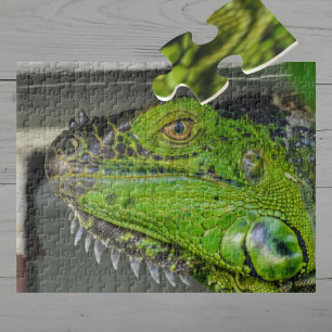 Puzzle Photographie de gros plan d'iguane vert